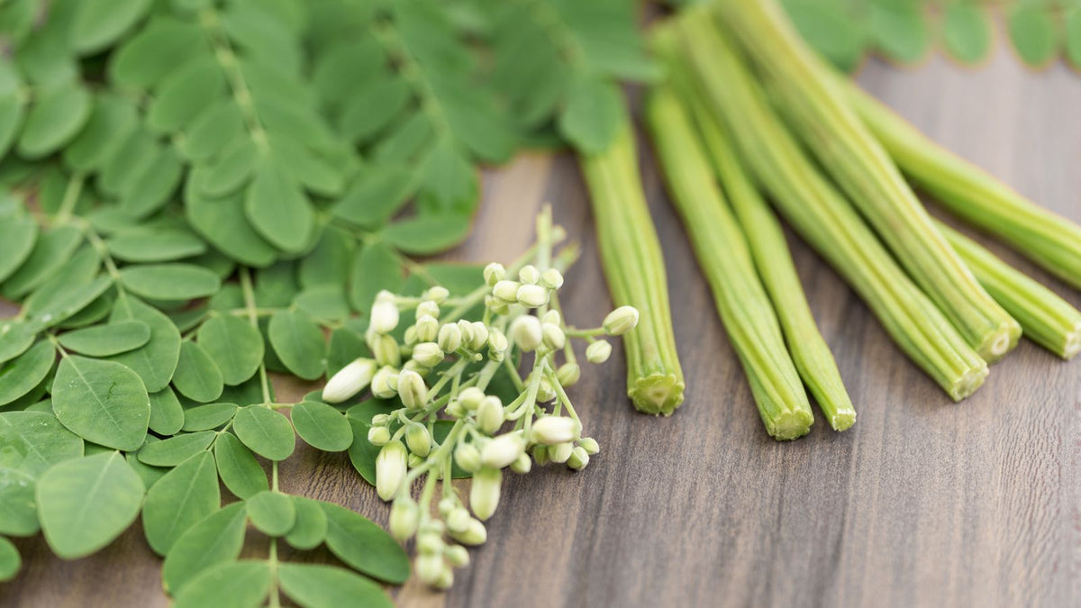 Moringa leaves, flower and fruit on a table