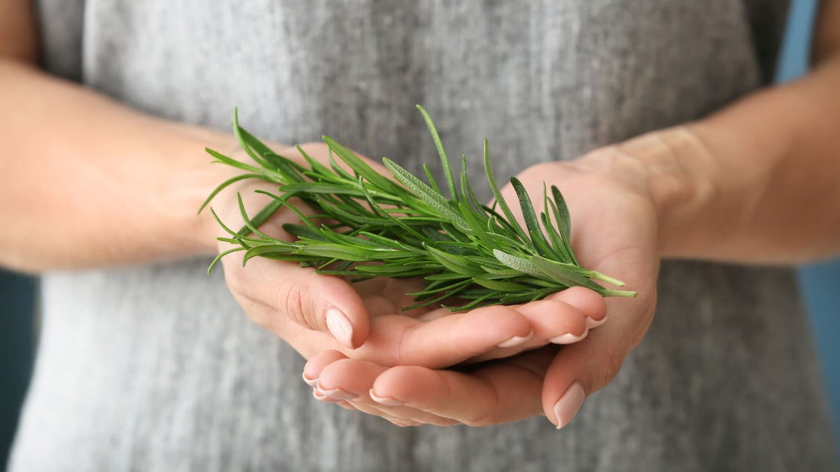 A woman holding rosemary in her hands
