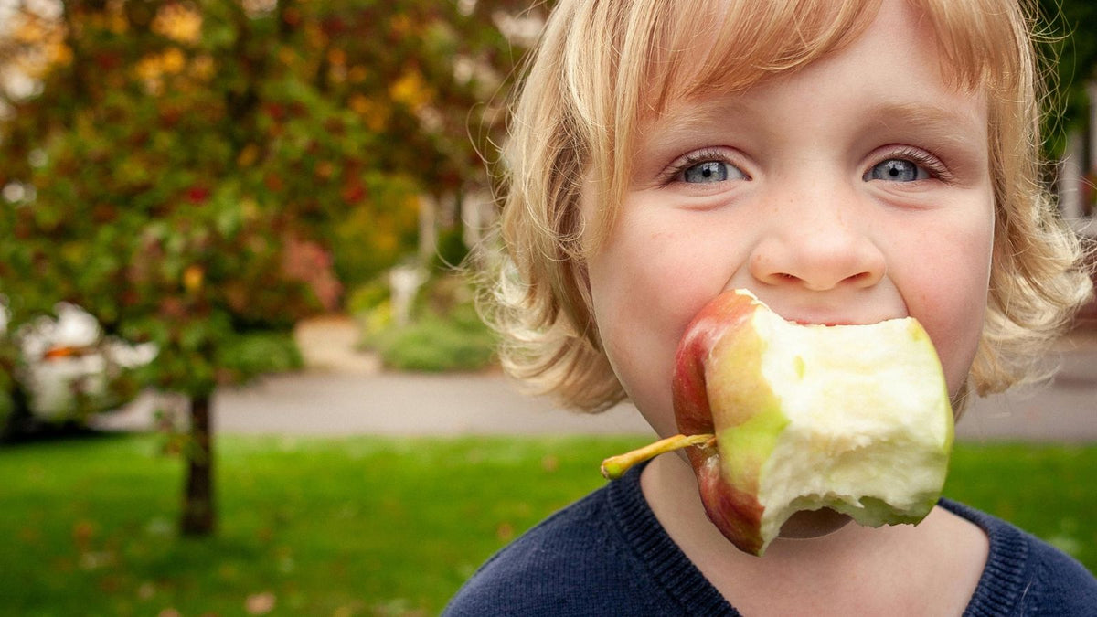 A child eating an apple