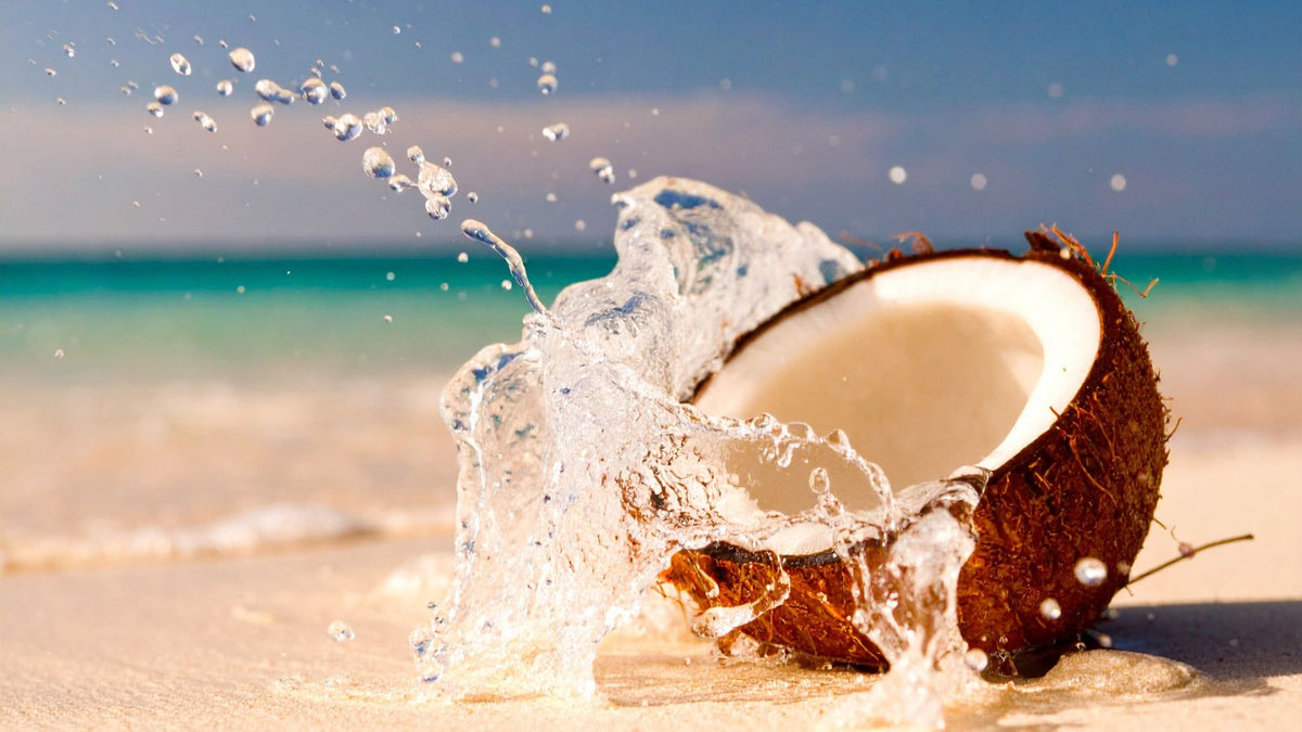 coconut with water splashed on it
