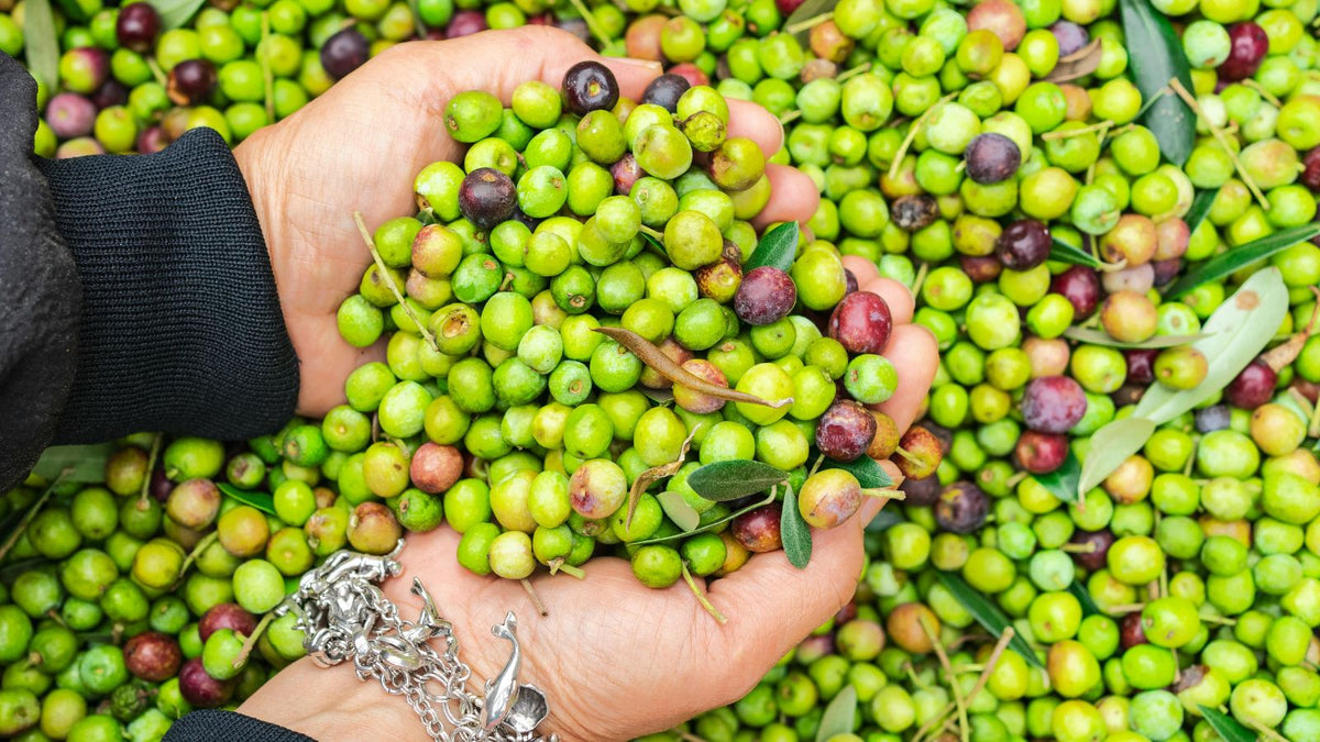 A woman holding olives in her hands