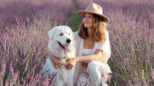 woman in lavender field with her dog