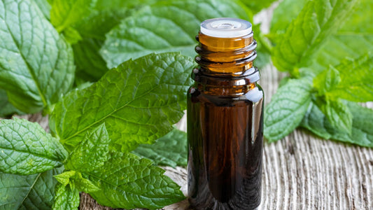 peppermint extract 
