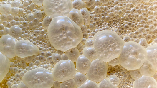 fermentation bubbles