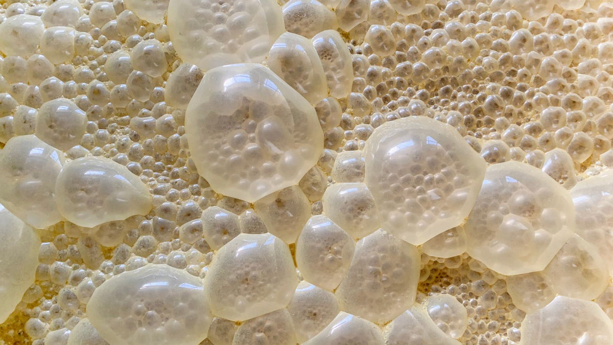 fermentation bubbles