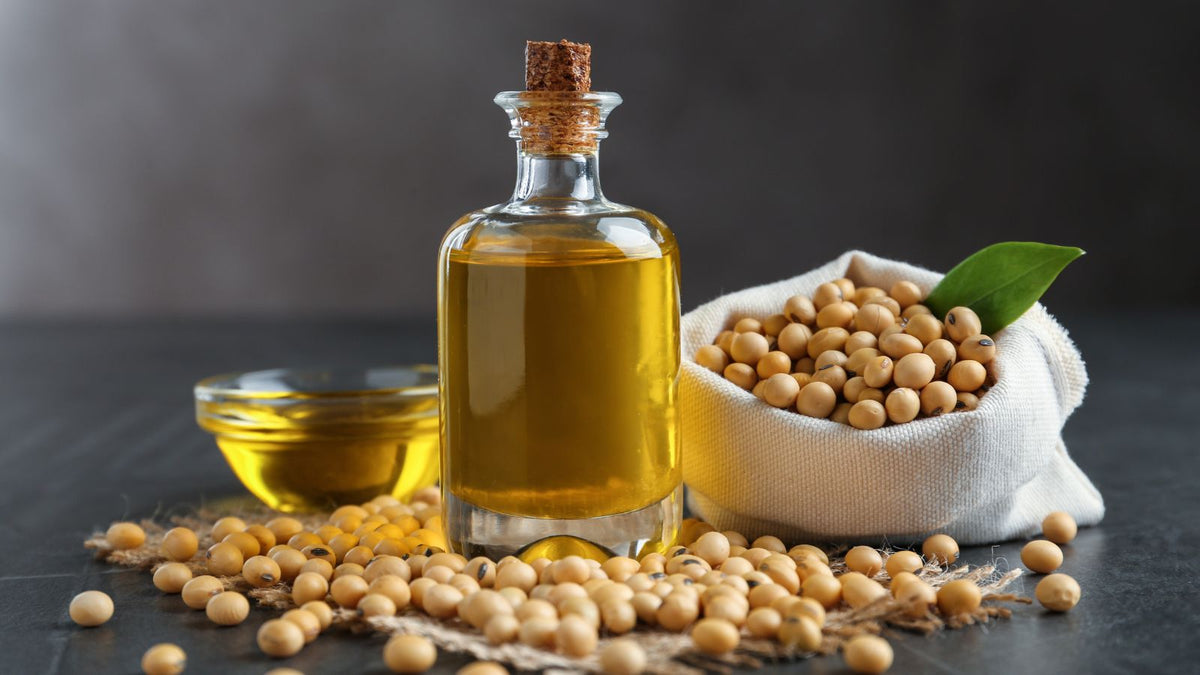 Soybean Germ Extract for Skin and Scalp: The Isoflavone-Rich Antioxidant for Hair Growth and Skin Health