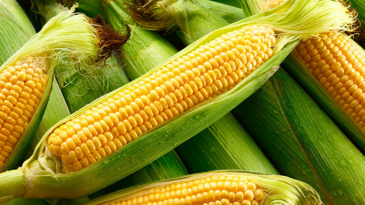 corn is used to make decyl glucoside