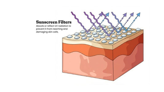 sunscreen blocking rays on skin graphic