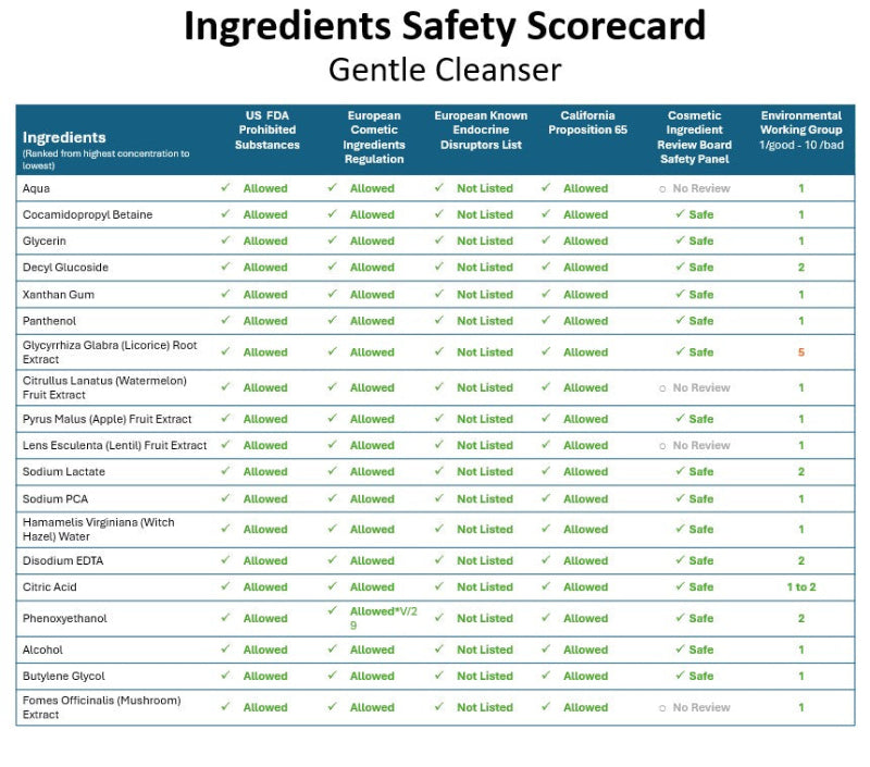 Ingredients Safety Scorecard for a gentle cleanser with various ingredient lists and safety ratings.